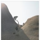 도봉산(산림청/인기 백대명산 제17위) 이미지