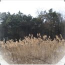 대림동산 이미지