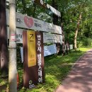휴식 2 | 혼자 다녀온 보은 법주사 템플스테이 1박 2일 휴식형 후기