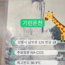 기린사우나 이미지