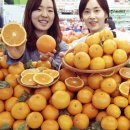 오렌지유통 이미지