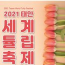 출석부/4월 23일 금요일 ㅡ 태안 세계 튤립 축제 이미지