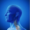 대해한의원 이미지