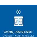 동물보육원 고양지부 이미지