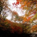 종합운동장(0999) 이미지