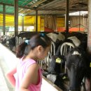 모산목장 이미지