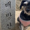 초원아파트 입구 이미지