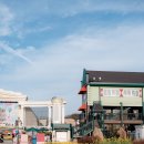 포켓애니멀 | 에버랜드 주말 튤립축제 로스트밸리 주차장 정보, 카피바라위치, 슈퍼윙스애니멀톡