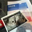 율산부인과의원 이미지