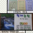 여름휴가-부산여행 후기