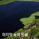 브라질아마존