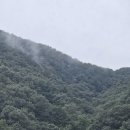 미르협동조합 | 수리치 골 성모 성지