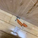 암사3동주민센터 이미지