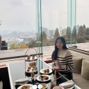 그랜드 하얏트 호텔 X 마누카꿀 콤비타, 골든허니 딜라이트 애프터눈티 [2부 창가 후기]