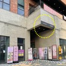 글로라인 네이버블로그