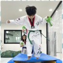 늘푸른경희대태권도장 네이버블로그