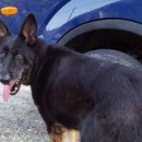 조은누리 이미지