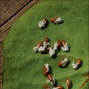 의정부정보도서관 이미지