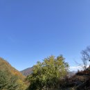 20201025태백여행2-병방치&amp; 정선 5일장 이미지