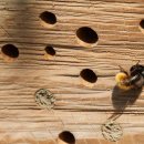 이코노미호텔 명동 프리미어점 | 광화문호텔 이코노미호텔 명동프리미어점 객실 리뷰