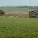 정우성목장 이미지