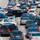 캥거루 동물병원 이미지