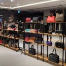 패션파크 이미지