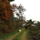 별무리 민박 이미지