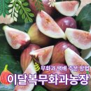 대불농장 네이버블로그
