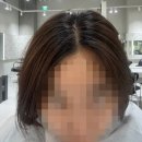 숙골로 88번길R | 도화동미용실 참빛 스타일리스트님한테 새치염색 받은 후기 라벨르봄 도화앨리웨이점