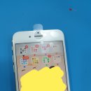 더블유DVD영화관