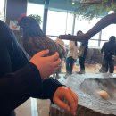 광안역 5번출구 | 광안역 근처 실내 놀거리, 동물 좋아하면 꼭 가야 할 곳 ‘애니멀숲’