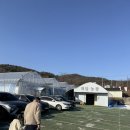 해담농장 | 화성 딸기농장 해담농장 딸기따기체험 후기