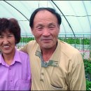 축복농장 이미지