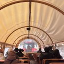 골든목장 | 평창 아이랑 겨울 여행 추천 대관령 하늘목장 트랙터 패키지 솔직후기 (5세 아이 동반)