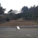 땅나라공인중개사사무소 이미지