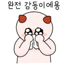 솜렌트카 이미지