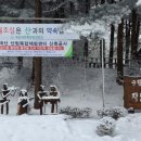 청태산자연휴양림 이미지