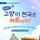 다솜고양이메디컬센터 이미지