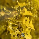 노랑펜션 이미지