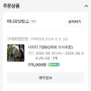 계룡산글램핑동월숲 이미지