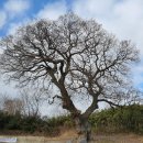 나는야 환경지킴이 이미지