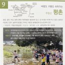 대강면 평촌마을 네이버블로그