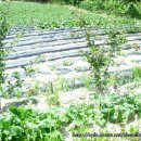 해월농장 이미지