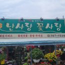 난사랑꽃사랑