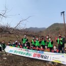 청천면사무소 이미지