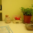 해태동물병원 이미지