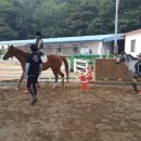 신언중학교 이미지