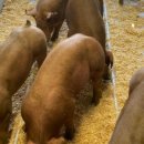 호은농장 이미지