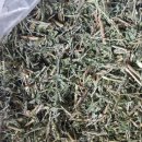 건강과약초 이미지